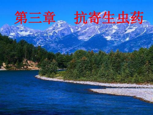 抗寄生虫药物