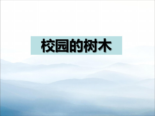 《校园的树木》植物PPT下载【优秀课件PPT】