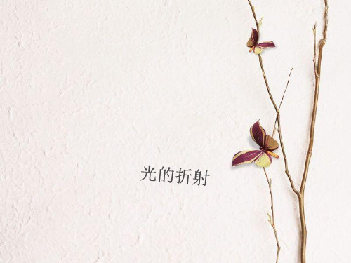 八年级物理上册 第四章 第4节 光的折射课件 (新版)新人教版.pptx
