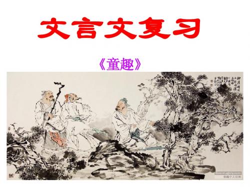 童趣复习课件