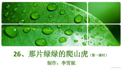 26那片绿绿的爬山虎