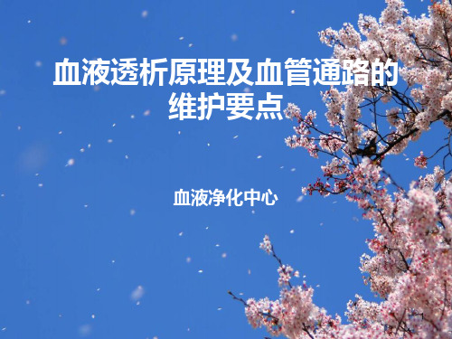 血液透析原理及血管通路的维护要点ppt课件
