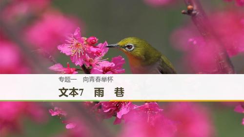 (浙江专用)2018_2019版高中语文专题一向青春举杯文本7雨巷课件苏教版必修1