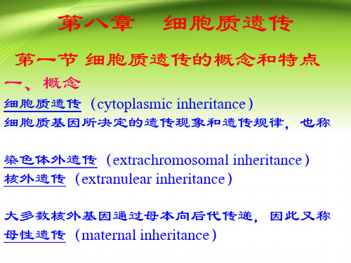 遗传学第8章细胞质遗传课件PPT