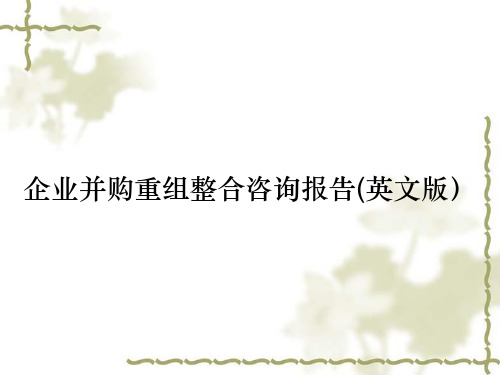 企业并购重组整合咨询报告(英文版)