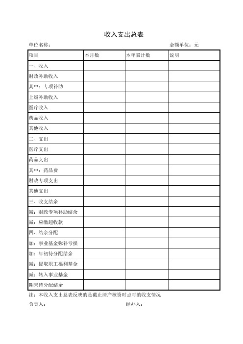 收入支出总表