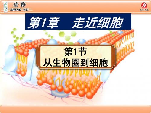 人教版教学课件必修一从生物圈到细胞