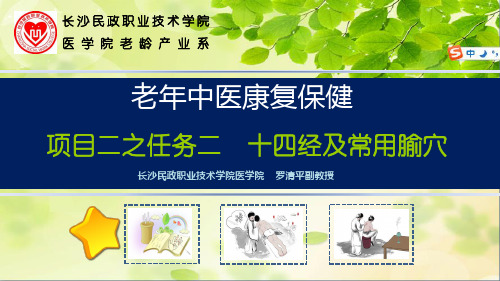 足少阳胆经