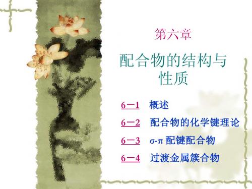 06(ws) 配合物的结构与性质