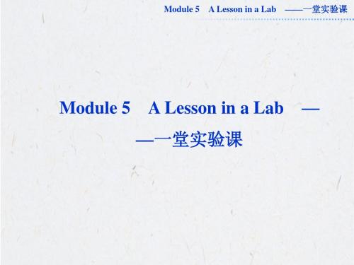 2013届高考英语外研版一轮总复习课件：必修一Module5