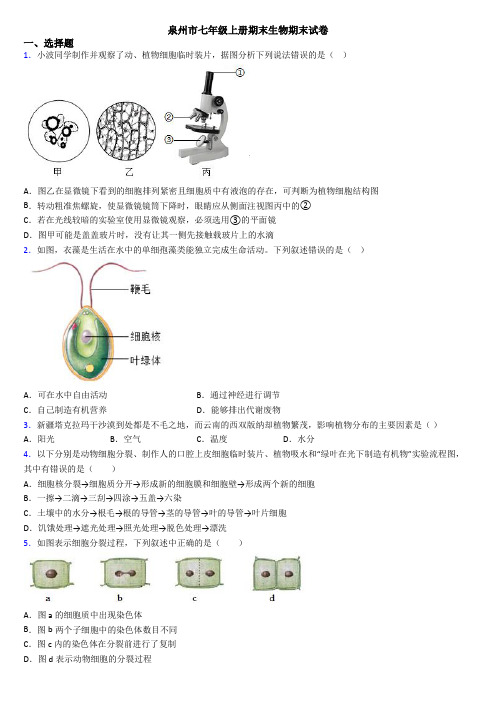 泉州市七年级上册期末生物期末试卷