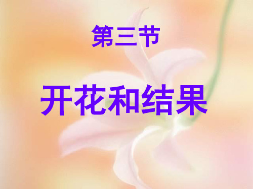 人教版教材《开花和结果》优秀课件PPT1