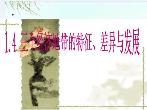 高二地理三个经济地带的特征差异与发展