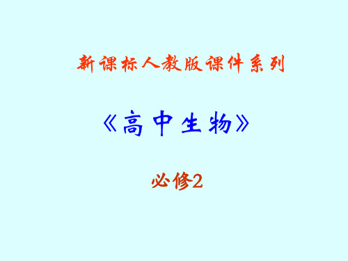 生物：5.1《基因突变和基因重组》PPT课件(新人教版-必修2)