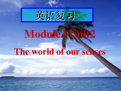 牛津高中英语M3U2 Revision
