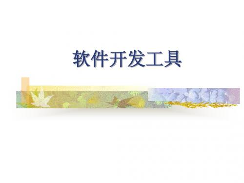 全国高等教育自学考试《软件开发工具》第一章课件
