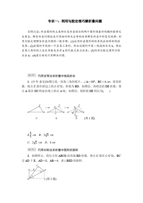 华师大版八年级数学上册第14章 勾股定理 强化专训【新版】
