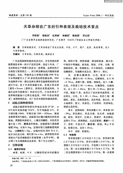 天草杂柑在广东的引种表现及栽培技术要点