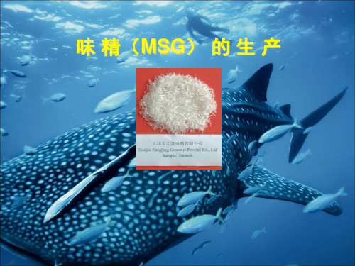 味精的生产技术