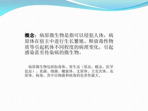 细菌 真菌 病毒