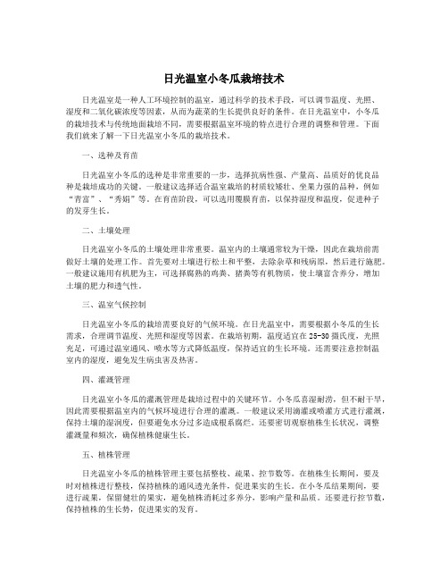 日光温室小冬瓜栽培技术