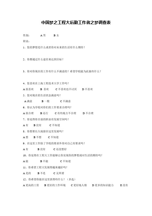 中国梦调研