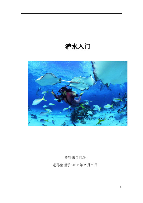 潜水入门