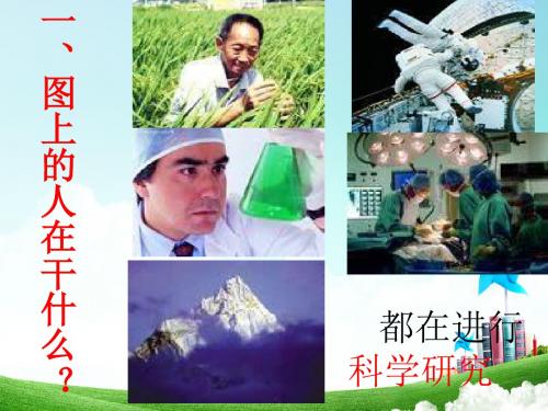 苏教小学科学三上《01科学是……》PPT课件(3)