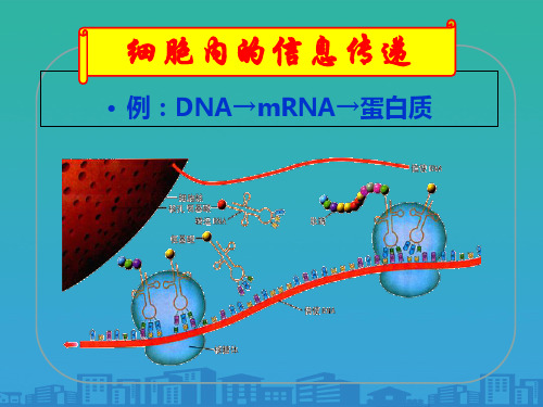 人教版高中生物必修三第5章第4节 生态系统的信息传递  课件(共35张PPT)