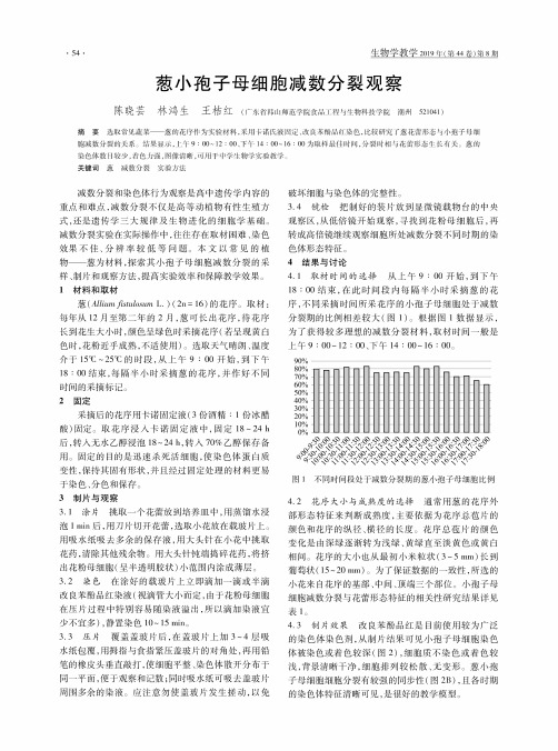 葱小孢子母细胞减数分裂观察