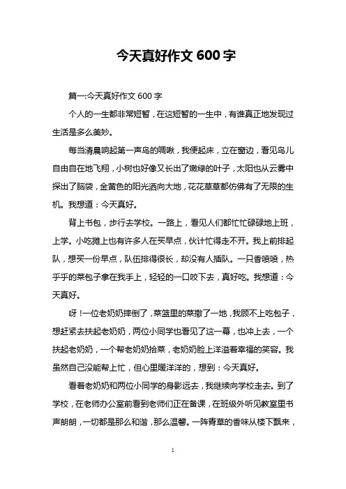 今天真好作文600字