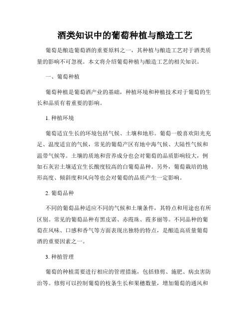 酒类知识中的葡萄种植与酿造工艺