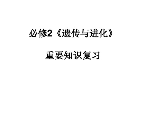 必修2《遗传和进化》重要知识复习(共60张PPT)