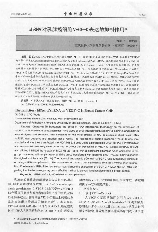 shRNA对乳腺癌细胞VEGF-C表达的抑制作用