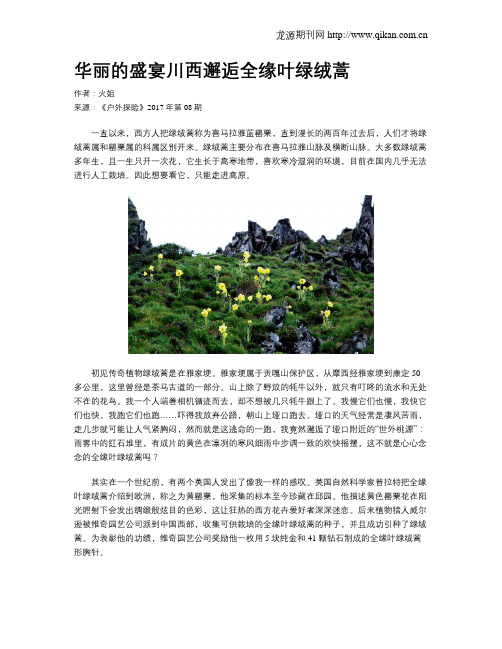 华丽的盛宴川西邂逅全缘叶绿绒蒿