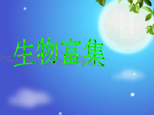 生物富集