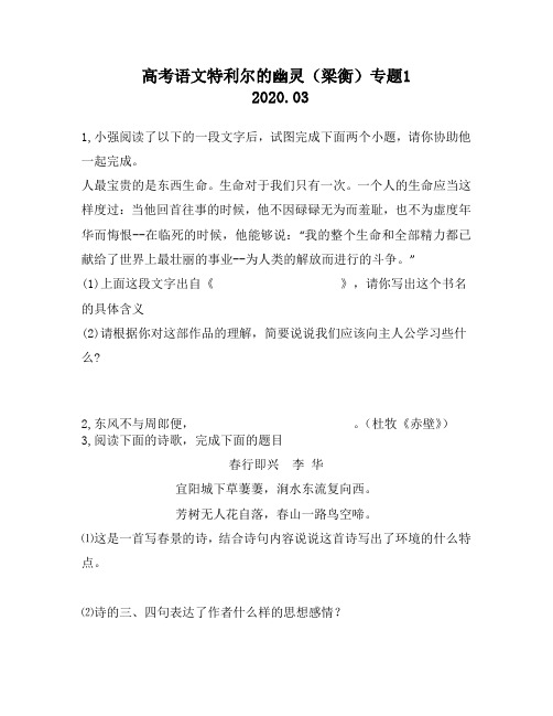 高考语文特利尔的幽灵(梁衡)专题1