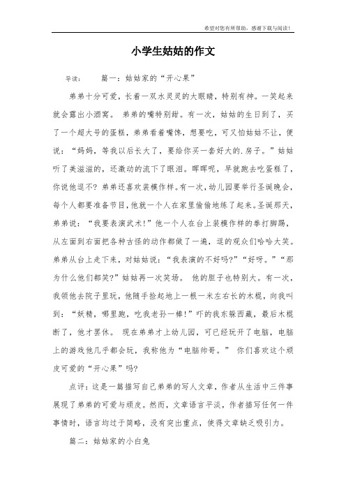小学生姑姑的作文