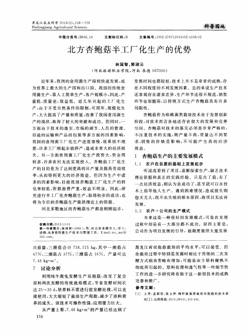 北方杏鲍菇半工厂化生产的优势