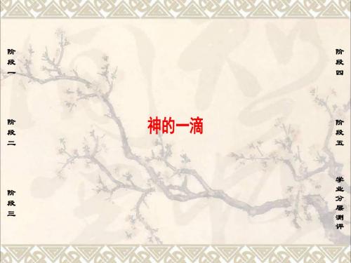 高中语文第四单元神的一滴课件苏教版必修