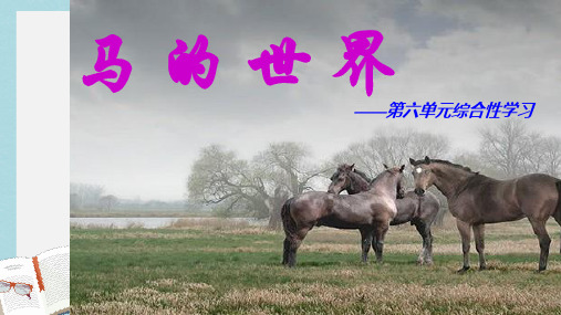 七年级语文下册(人教版)马_的_世_界ppt课件