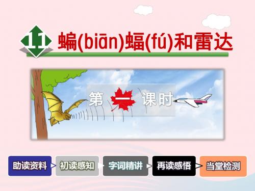 四年级语文下册第三单元11蝙蝠和雷达(第1课时)课件新人教版