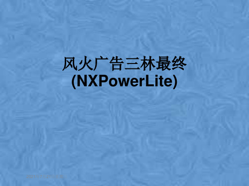 风火广告三林最终(NXPowerLite)