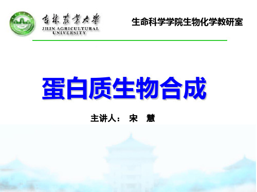 多肽的合成后加工与转运