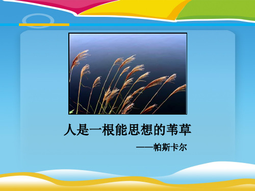 《人是一根能思考的苇草》短文三篇PPT下载