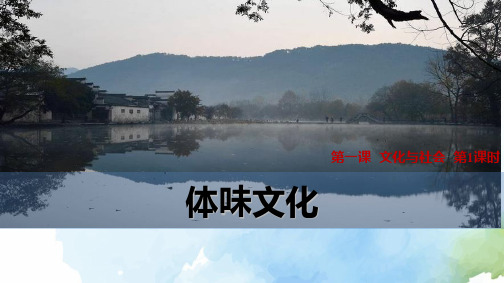 高中政治必修3精品课件17：1.1 体味文化