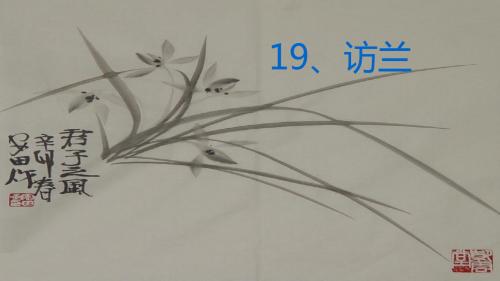西师大小学语文六年级下册《第19课访兰》PPT课件 (2)