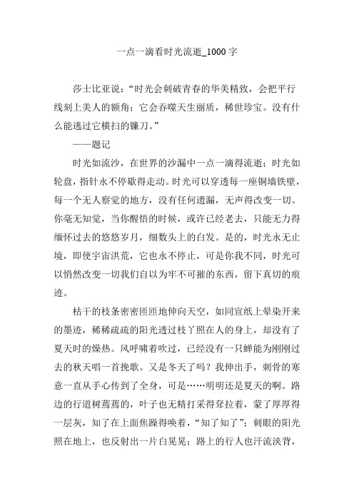 一点一滴看时光流逝_1000字
