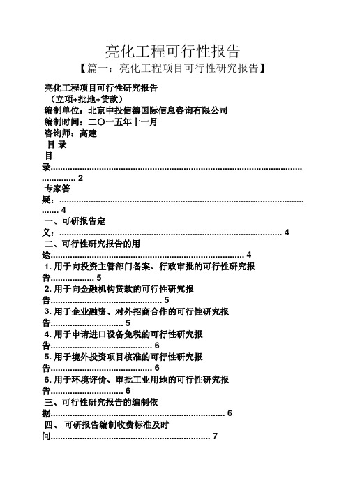 工作报告之亮化工程可行性报告