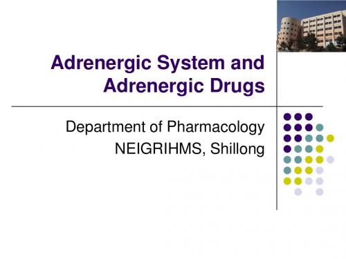 Adrenergic System and Adrenergic Drugs